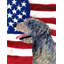 2 côtés en polyester de 2 côtés american drapeau de jardin-1288238457