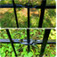 Clôture de jardin en métal, 81 cm (H) x 61 cm (L), 4 panneaux avec 1 portillon, longueur totale de 3 m, clôture paysagère antirouille pour parterres de fleurs et cour.