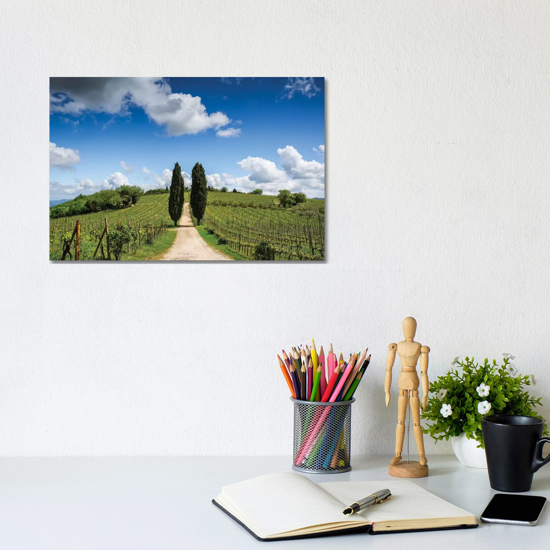 Europe, Italy, Tuscany, Chianti. Vineyard And Cypress Trees. by Jaynes Gallery - Wrapped Canvas Gallery-Wrapped Canvas Giclée