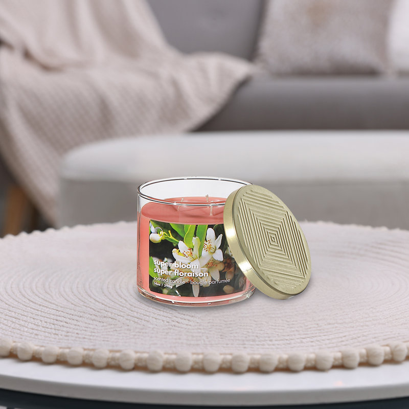 Ensemble de 2 bougies 14 oz 3 Wick Jar