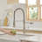 FLG Pull Down Kitchen Faucet-70133106