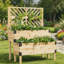 Lit de jardin surélevé en bois à 2 niveaux avec treillis, jardinière surélevée avec support en coin pour fleurs