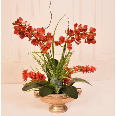 Orchid Arrangement in Vase