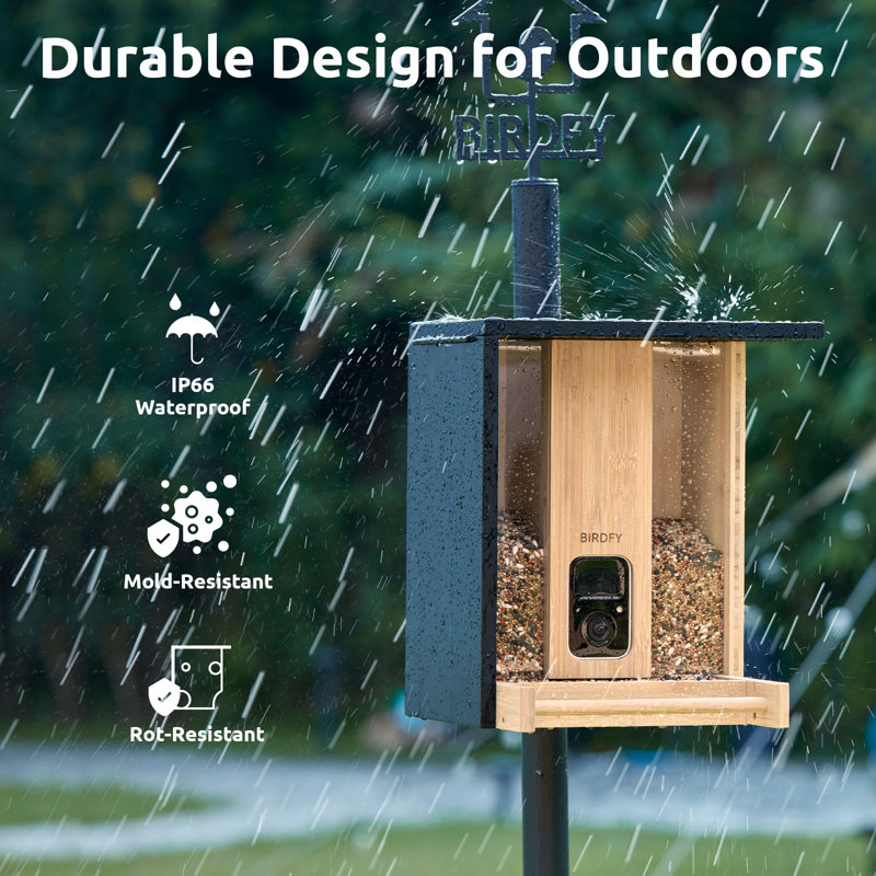 Birdfy Solar Powered Bamboo Smart Bird Feeder AI Lifetime Free  With Motion Detection Wireless Camera, Black