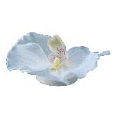Addington Fabric Orchids Arrangement
