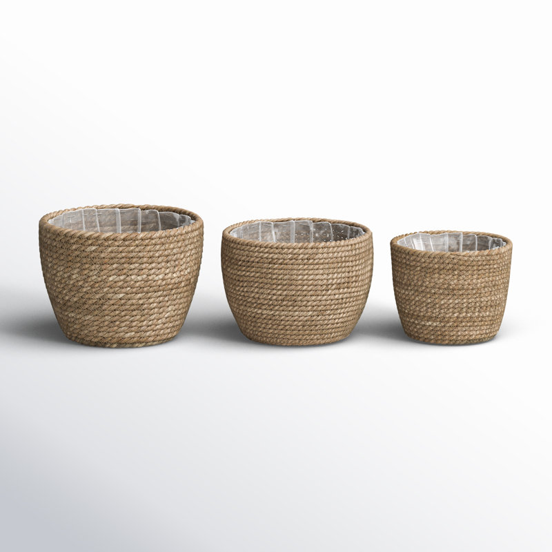 Pot de fleurs d'intérieur en ruppie maritime Bessy (ensemble de 3), 7.5" H x 10.2" W x 10.2" D