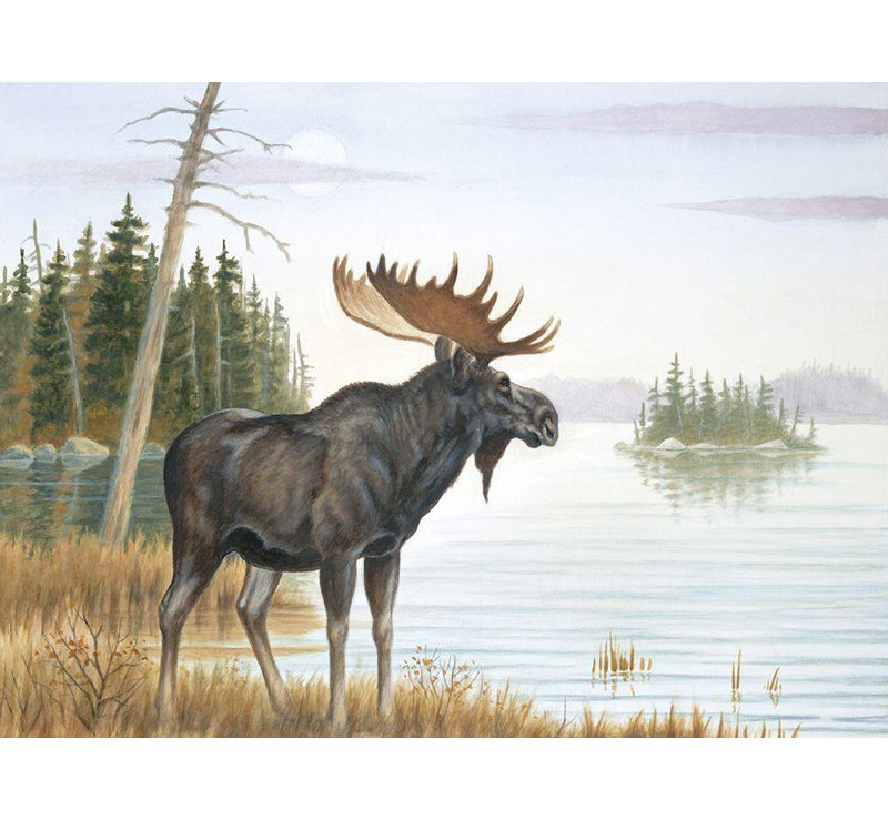Art sur toile tendue Loon Peak® Inconnu, «Misty Moose», H 19 po x l 24 po