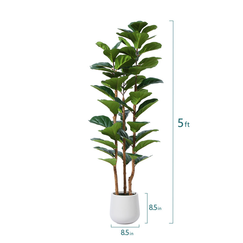 Adcock  Artificial Fiddle Leaf Fig Tree with Realistic Leaves and Natural Trunk, Potted Tree, 60" H x 20" W x 20" D