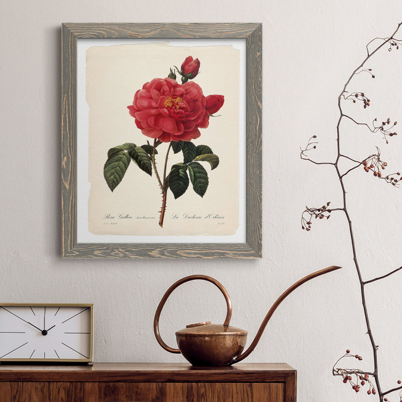 Red Botanical III - cadre photo, impression sur toile, H 37,5 po x l 27,5 po x P 1,5 po, Toile avec cadre gris