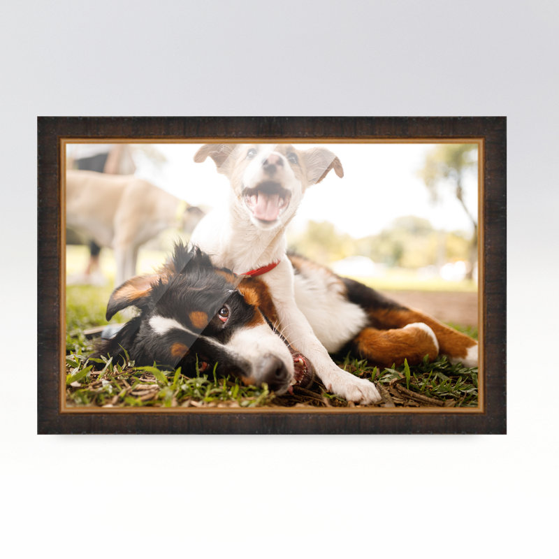 Cadre photo Zelene, Brun, L 12 po x H 18 po