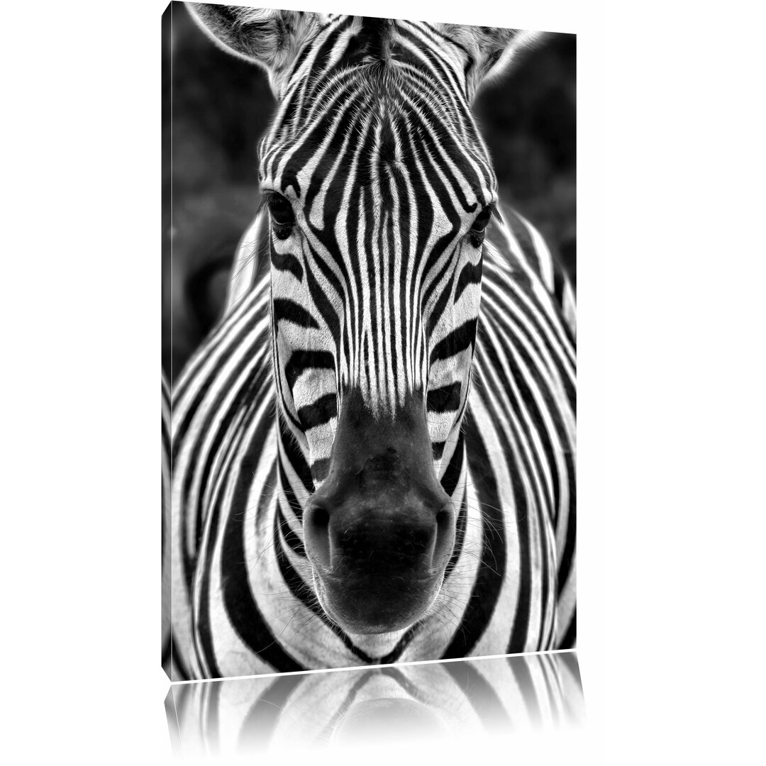 Leinwandbild Zebra Porträt in Monochrom