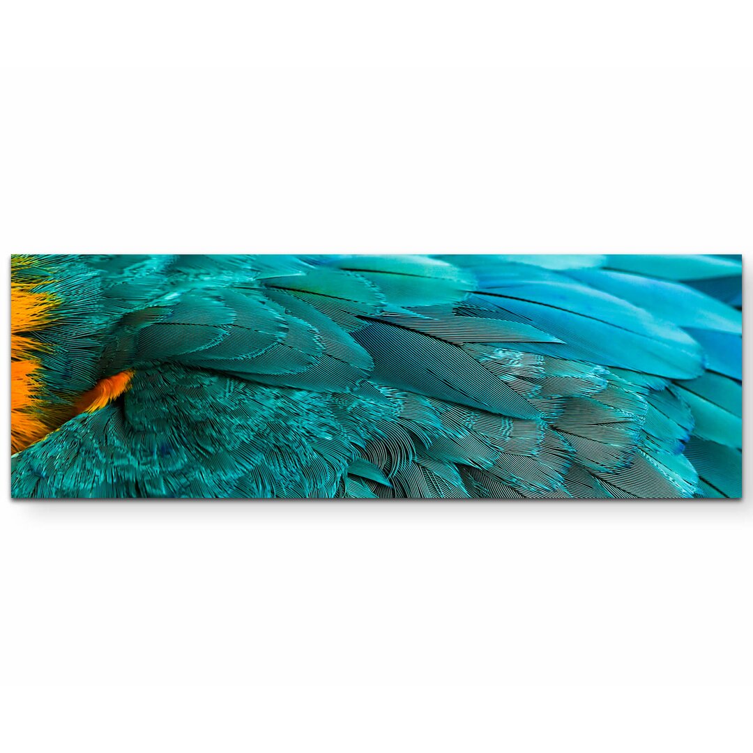 Leinwandbild Macaw Plumage