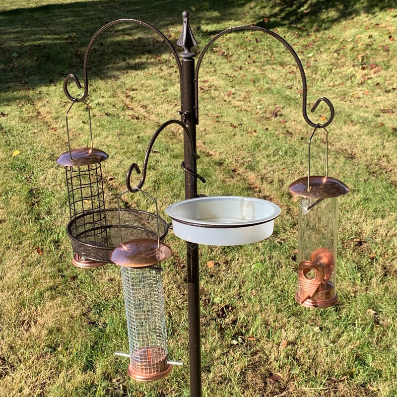 Pinero Steel Feeding Station