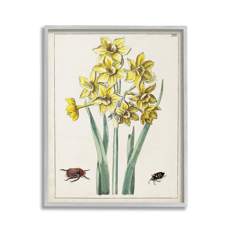 Coléoptères avec jonquilles, Estampe numérique Farmhouse, H 20 po x l 16 po