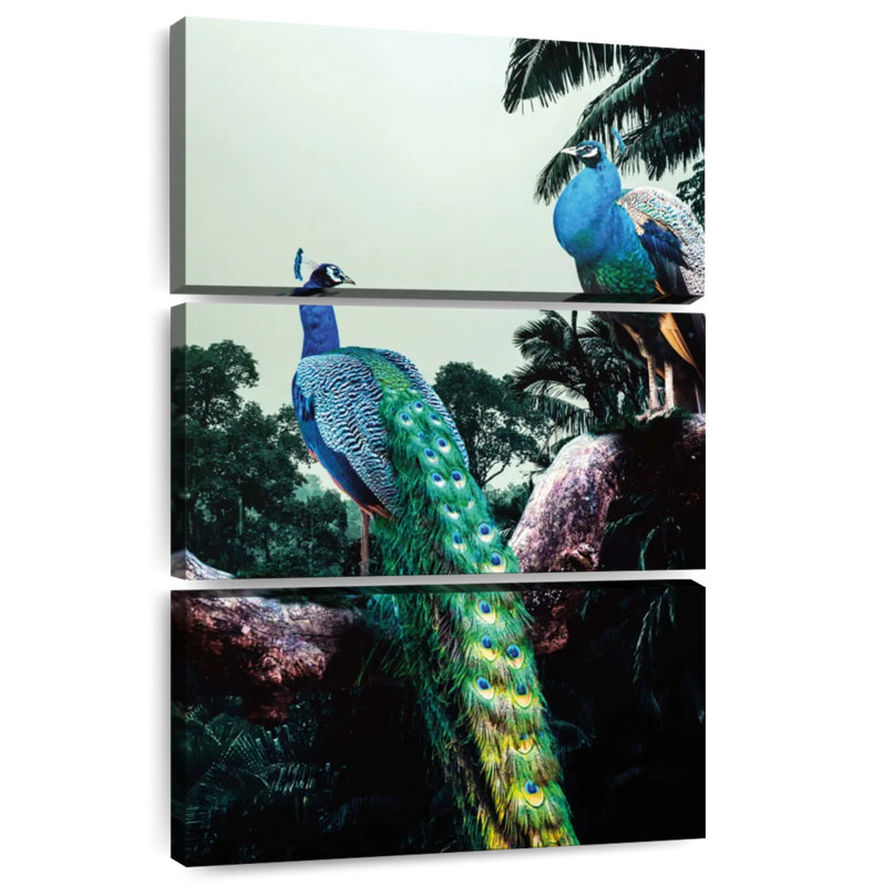 Brampt Peacock Duo, 65" H x 42" W