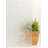 Window Decal-31010639