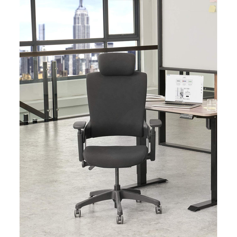 Fauteuil de direction ergonomique Djenkely, Noir, Noir
