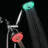 Handheld Shower Head 2.5 GPM GPM