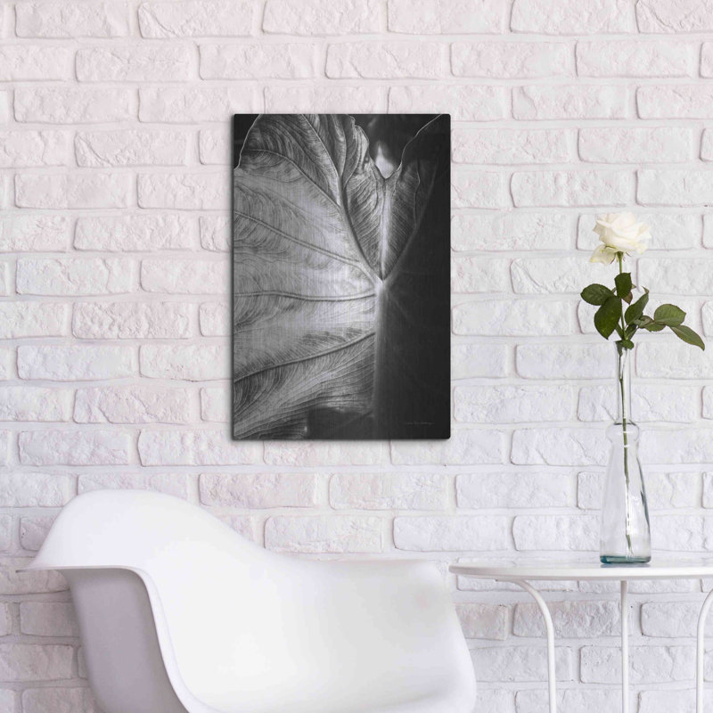 «Elephant Ear I» par Debra Van Swearingen, H 24 po x l 16 po