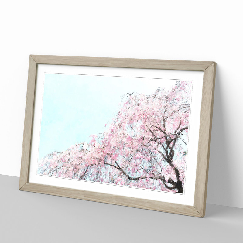 Pretty Pink Cherry Blossom Tree - Picture Frame Graphic Art, Oak Framed, 48cm H x 65cm W x 2cm D