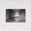 «Dusty Piano» par Roman Robroek