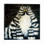 « bert » par kim haskins-impression d’art graphique-49774663-49774662