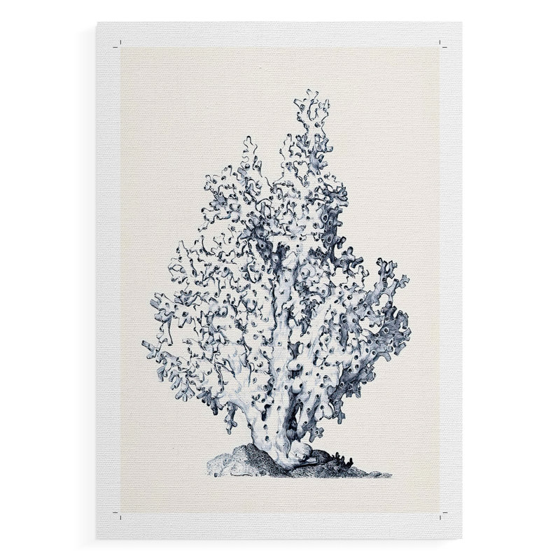 Bleu antique corail I - impression sur toile seulement - non encadré, H 18 po x l 12 po