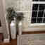 Customer photo 4 of 5