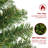 6' Lighted Spruce Christmas Tree