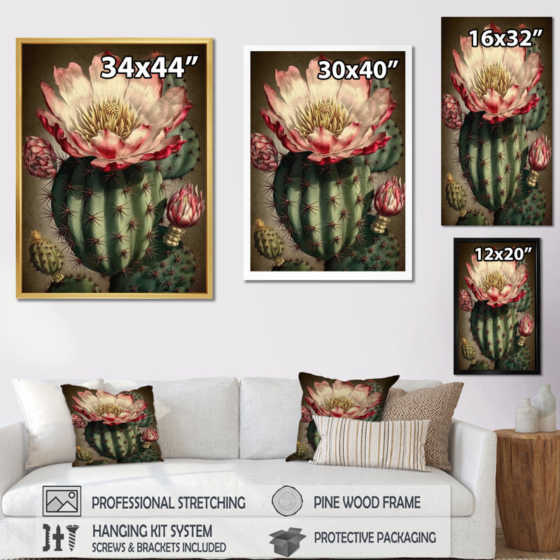 Fleur de cactus en fleur sur toile, Cadre simple noir, H 40 po x l 30 po x P 1,5 po