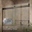 Levity 74" H x 59.63" W Bypass Shower Door with CleanCoat® Technology-700643421-801942694