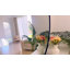 Grand miroir rond-2048598386-2093567255