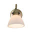 Natural Plug-in Outdoor Barn Light