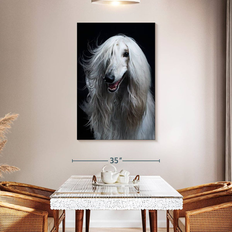 Brampt Long Haired Afghan Hound, 45" H x 30" W