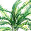 Boston Fern Leaf Arrangement