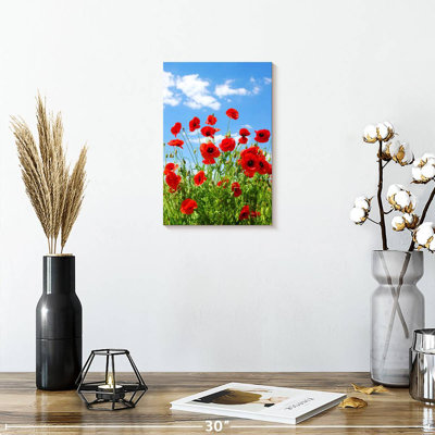 Harnek Overgrown Red Poppies