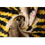 Coussin en velours de soie doré Golden Tiger
