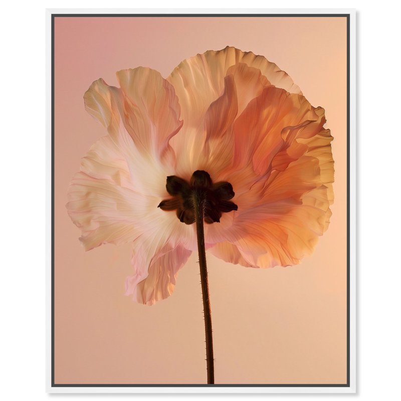 Amber Radiance II Floral & Botanical Canvas Print by Oliver Gal, Black Frame, 16 x 20, 17"H x 21"W, White Floater Frame
