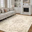Oriental Area Rug-1360597512