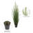 Artificial Grass and Eucalyptus in Pot-976843448