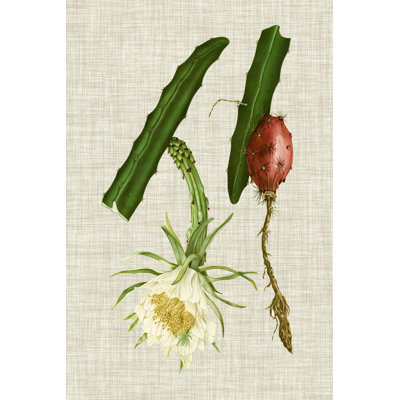 Elegant Tropicals II 1 Piece Wrapped Canvas Painting