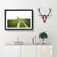 Path To A Lone Tree - Single Picture Frame Print on MDF-56704434-56704437
