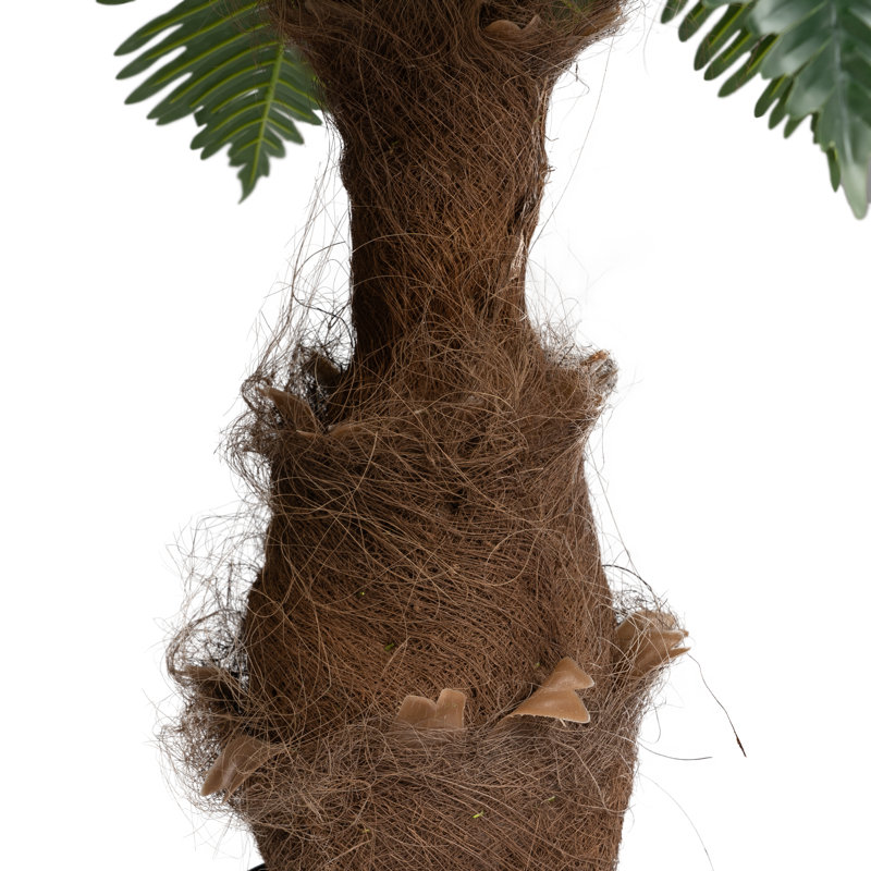 100cm Plant