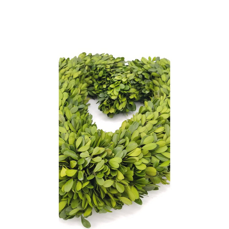 Preserved Boxwood 15 " Wreath