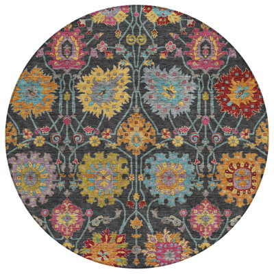 Machine Washable Indoor/Outdoor Mattera ACN2288 Damask Rug