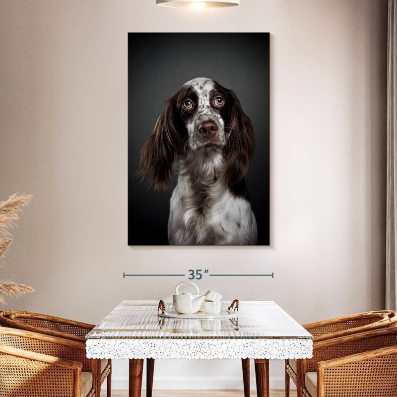 Adorable setter anglais, H 39 po x l 26 po