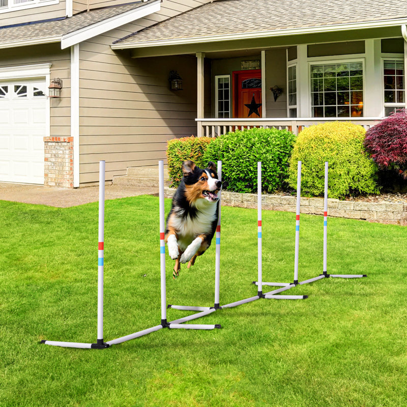 129" Adjustable Dog Agility Training Obstacle Set