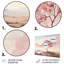 Art mural en métal «Minimalisme rose arbre solitude III»-92741220