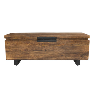 Zoe Storage Trunk
