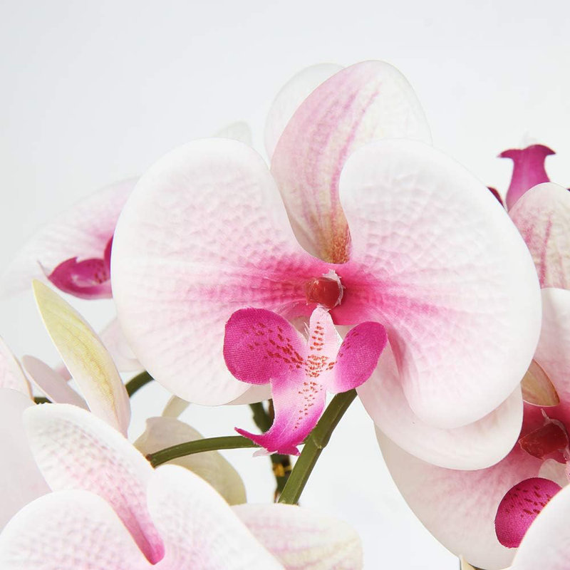 Rowney Arrangement, Pink